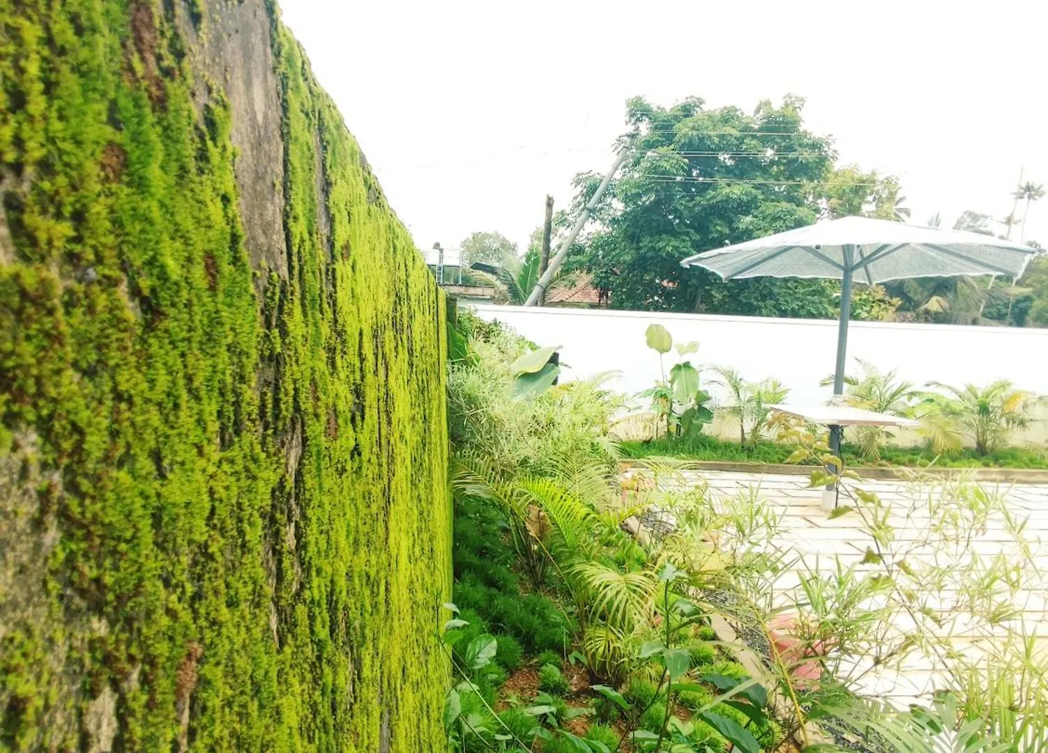 Stellark 0*, Alappuzha Indien